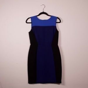 Black and Blue Colorblock Sheath Loft Dress